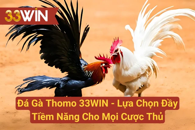 Đá Gà Thomo